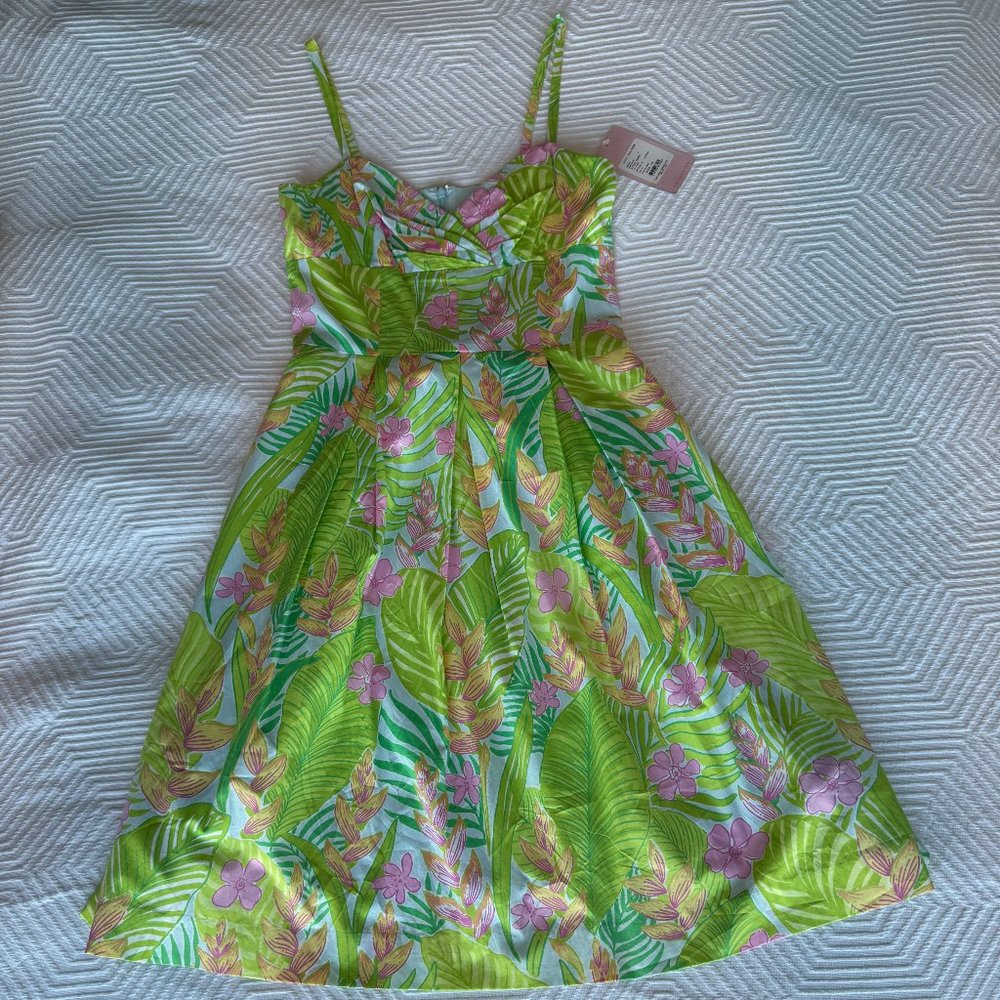 NWT Lilly Pulitzer Green/Pink/Blue Botanical Garden Sundress — Size 10